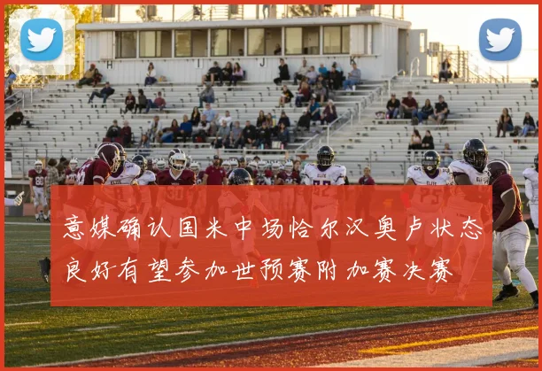 意媒确认国米中场恰尔汉奥卢状态良好有望参加世预赛附加赛决赛