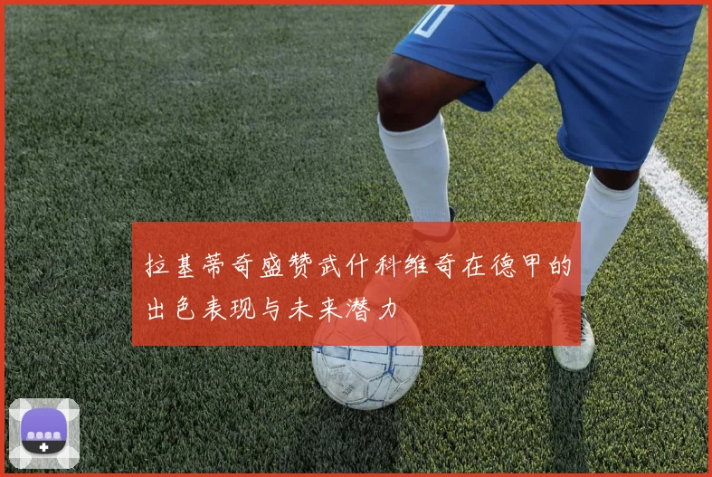 拉基蒂奇盛赞武什科维奇在德甲的出色表现与未来潜力